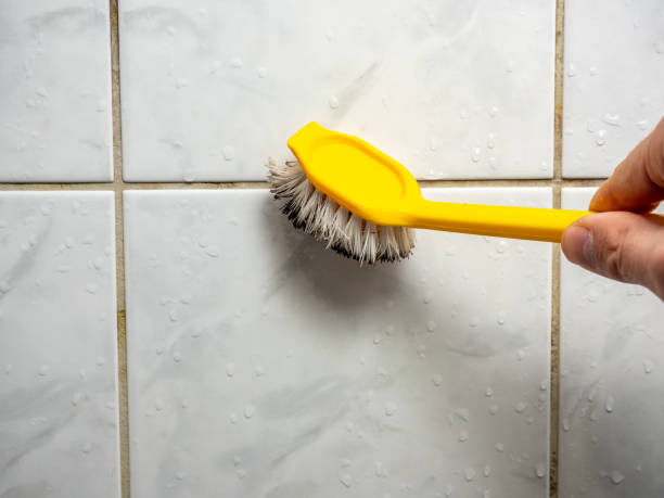 Best Preventive Mold Services in St Croix Falls, WI